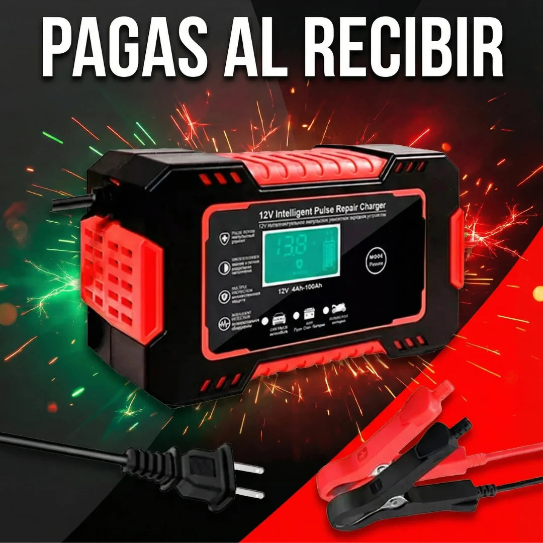 CARGADOR INTELIGENTE 12V