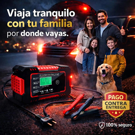 CARGADOR INTELIGENTE 12V