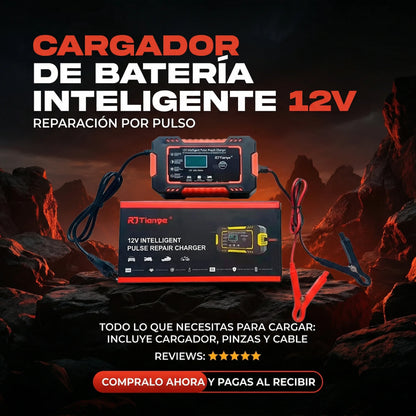 CARGADOR INTELIGENTE 12V
